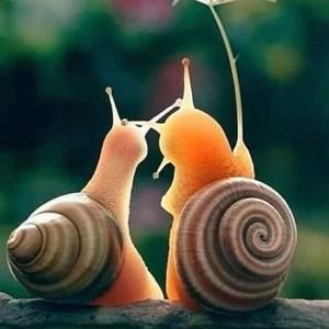 Meet your Posher, Carol